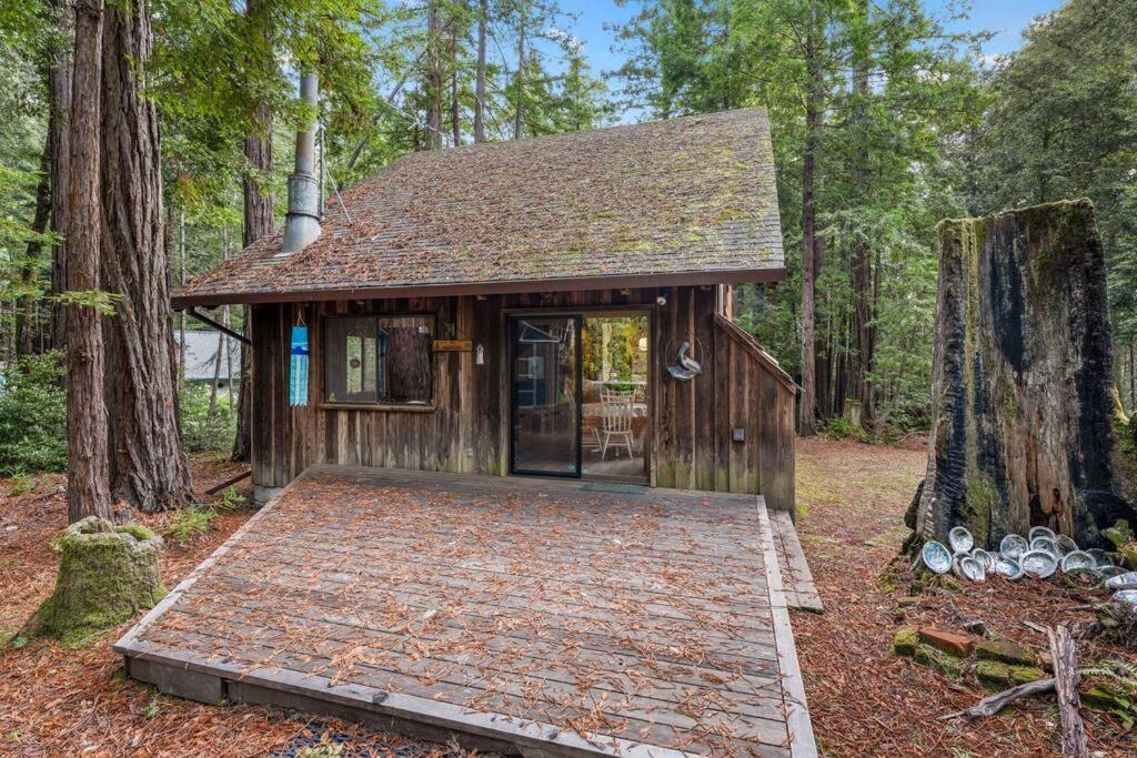 Grandma'S Cabin By The Sea Gualala Esterno foto